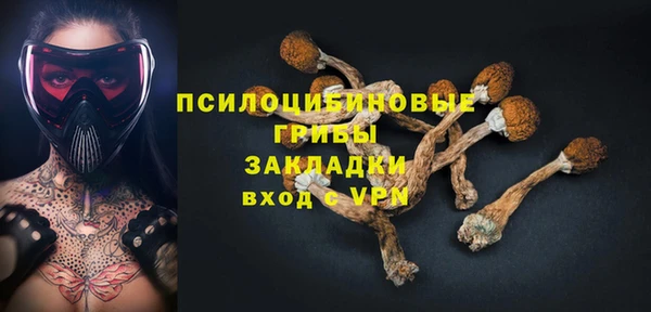 таблы Алексин