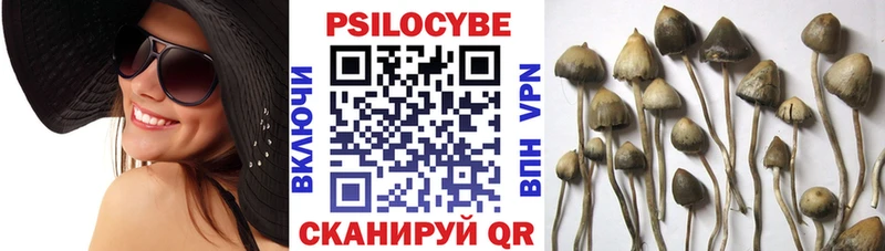 Псилоцибиновые грибы MAGIC MUSHROOMS  купить закладку  Бердск 