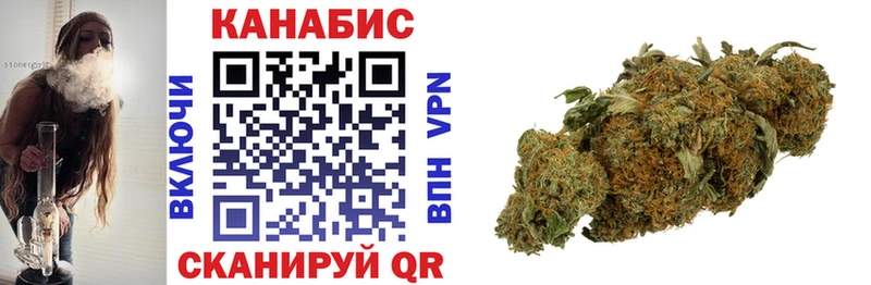 где можно купить   Бердск  МАРИХУАНА сатива 